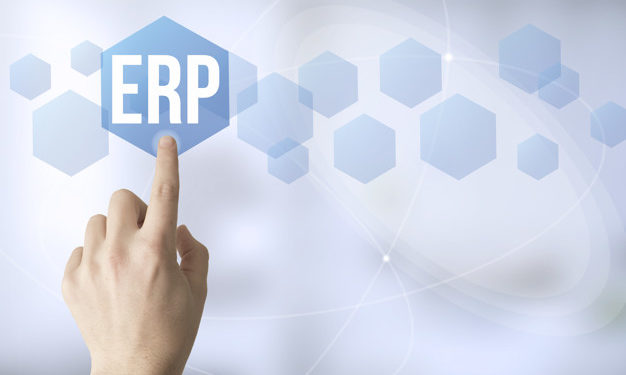 Pembuatan ERP Sistem